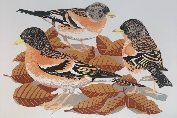 Linocut print of bramblings